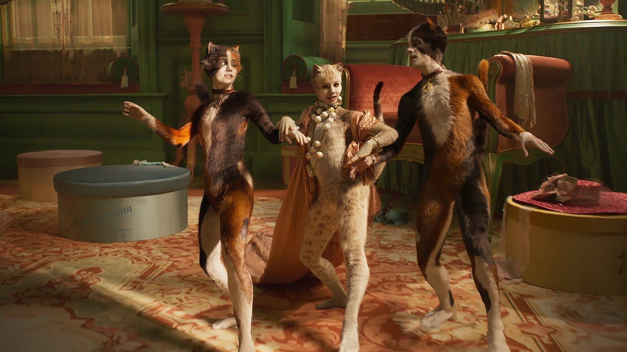 Cats - immagine