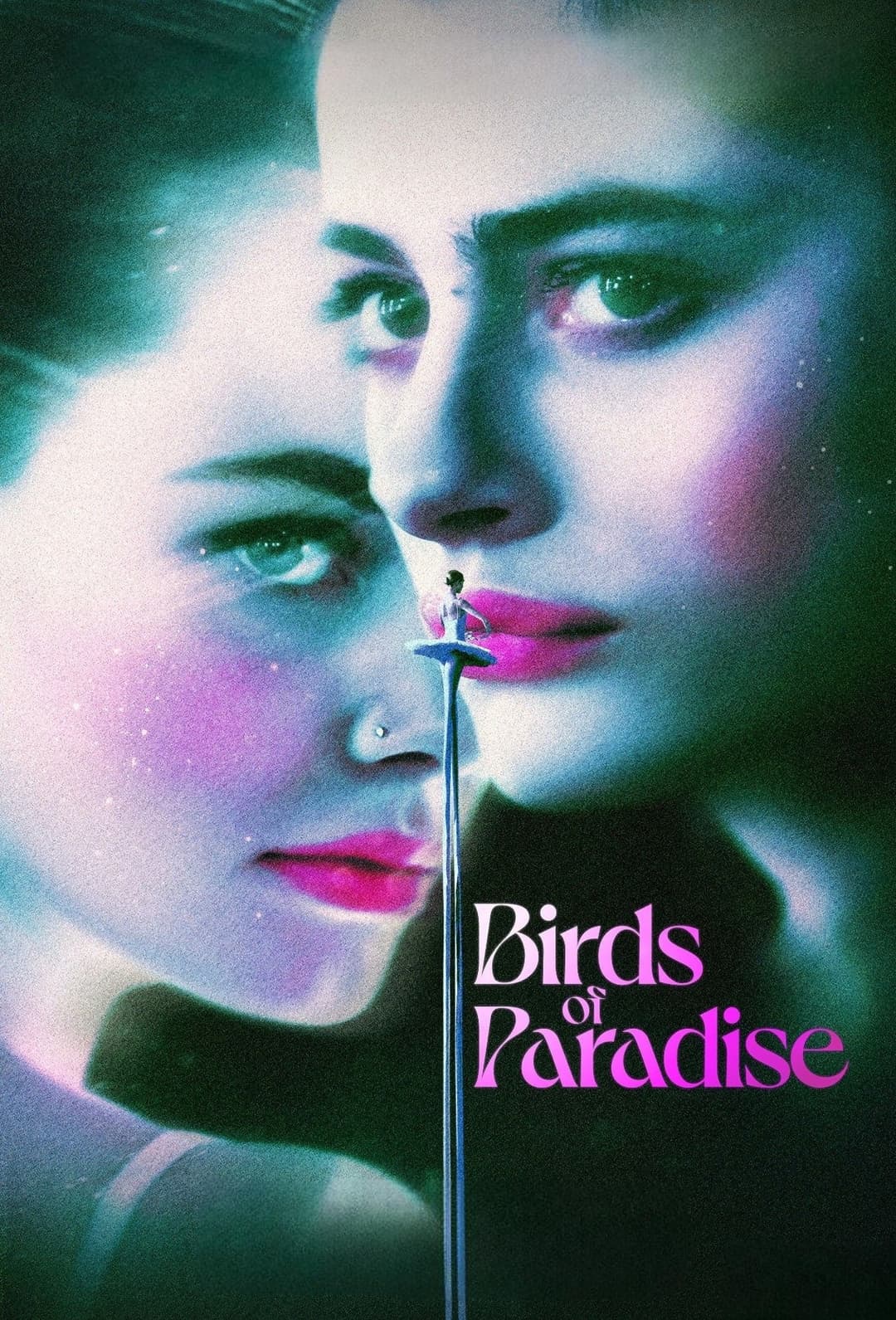 Poster di Uccelli del paradiso