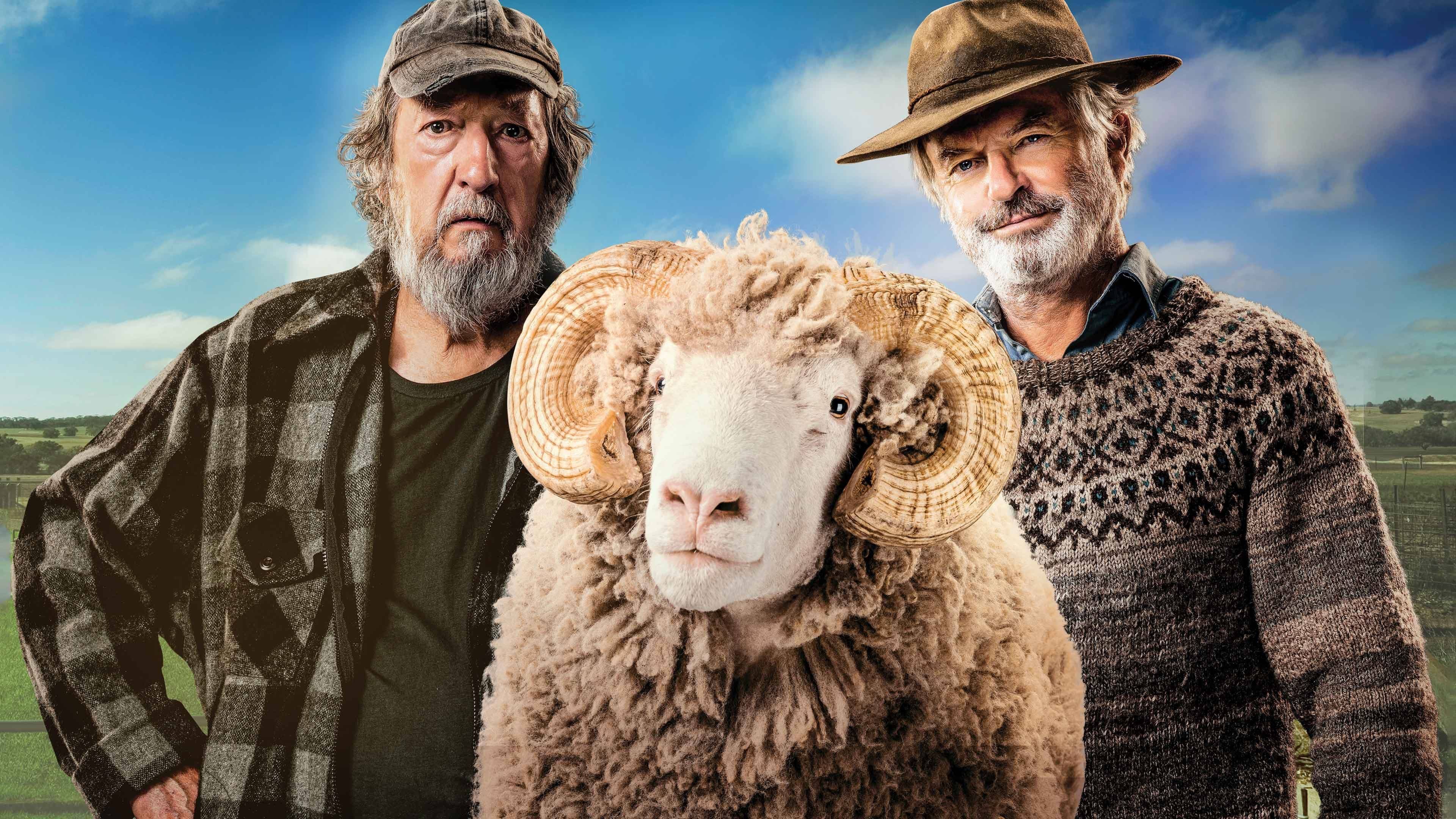 Rams - immagine