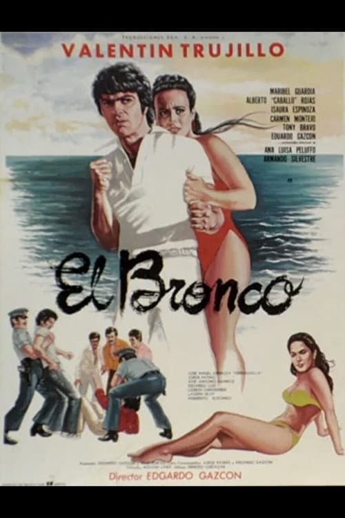 Poster di El Bronco