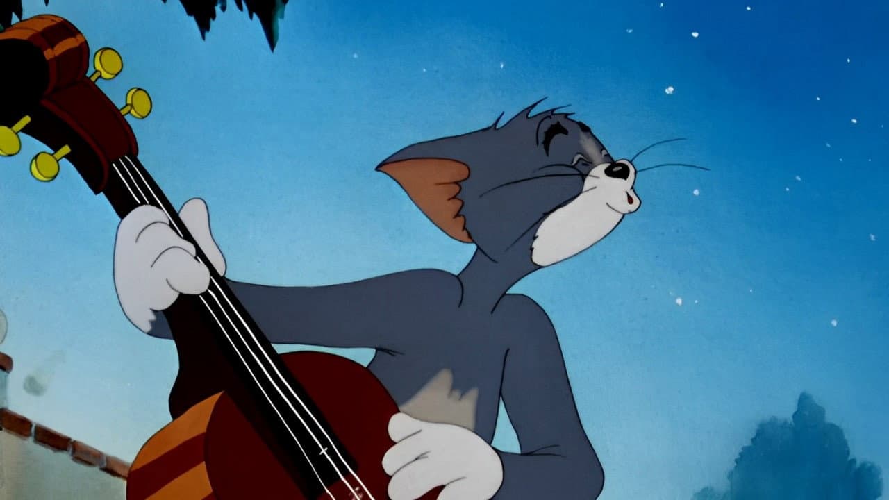 Solid Serenade - immagine