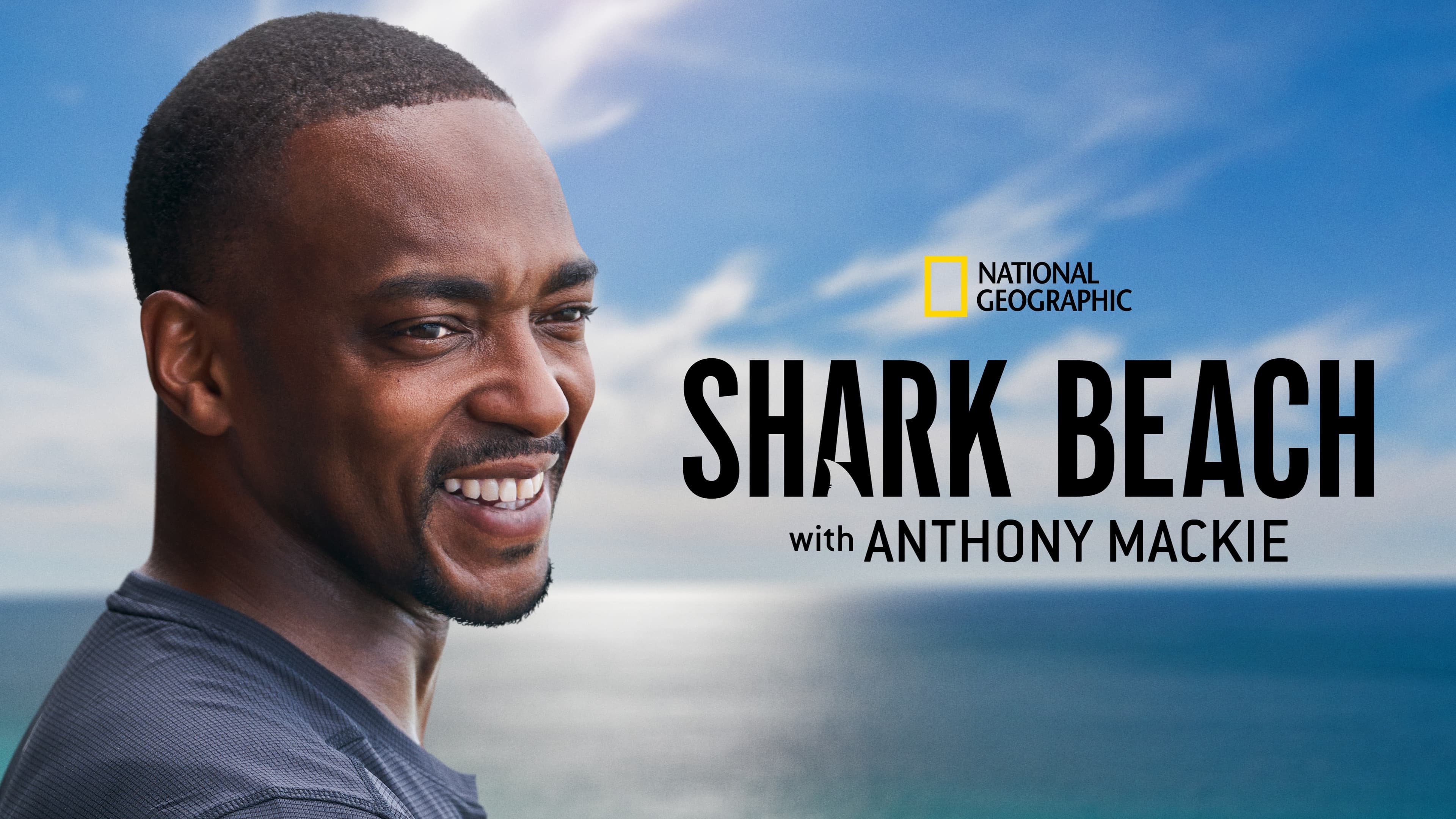 Shark Beach with Anthony Mackie - immagine