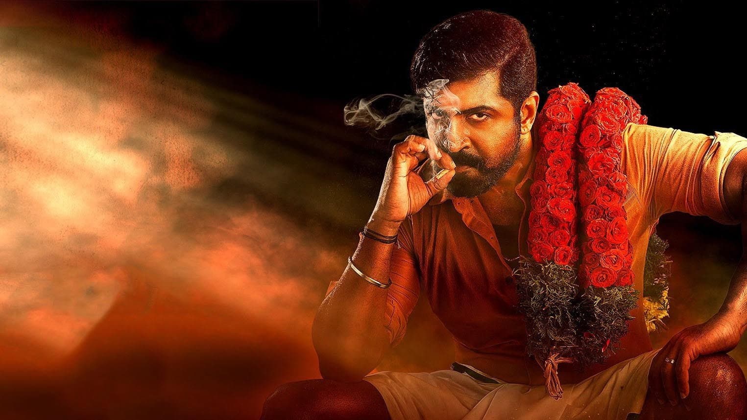 யானை - immagine