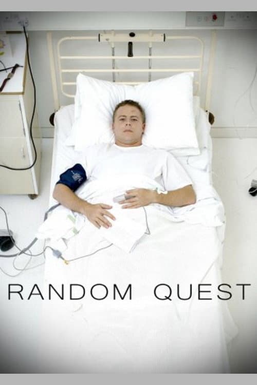 Poster di Random Quest