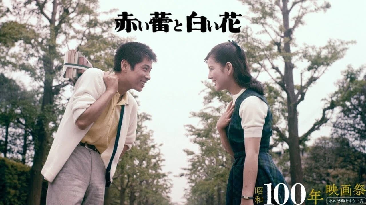 赤い蕾と白い花 - immagine