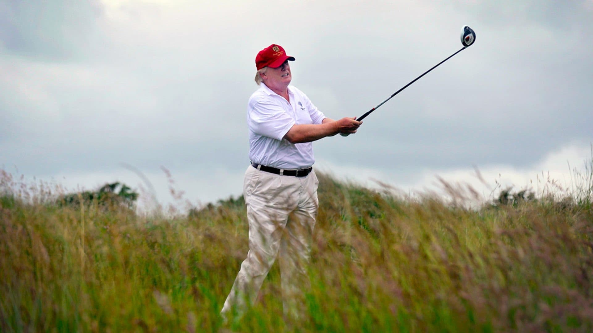 You've Been Trumped - immagine