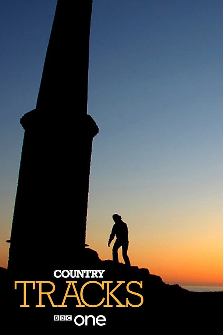 Poster di Country Tracks