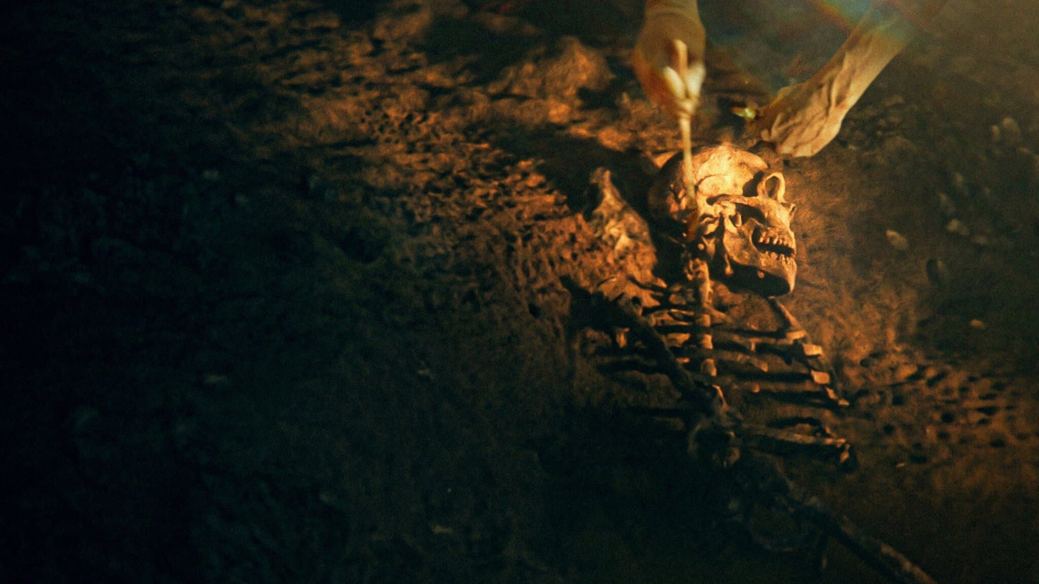 I segreti dei Neanderthal - immagine