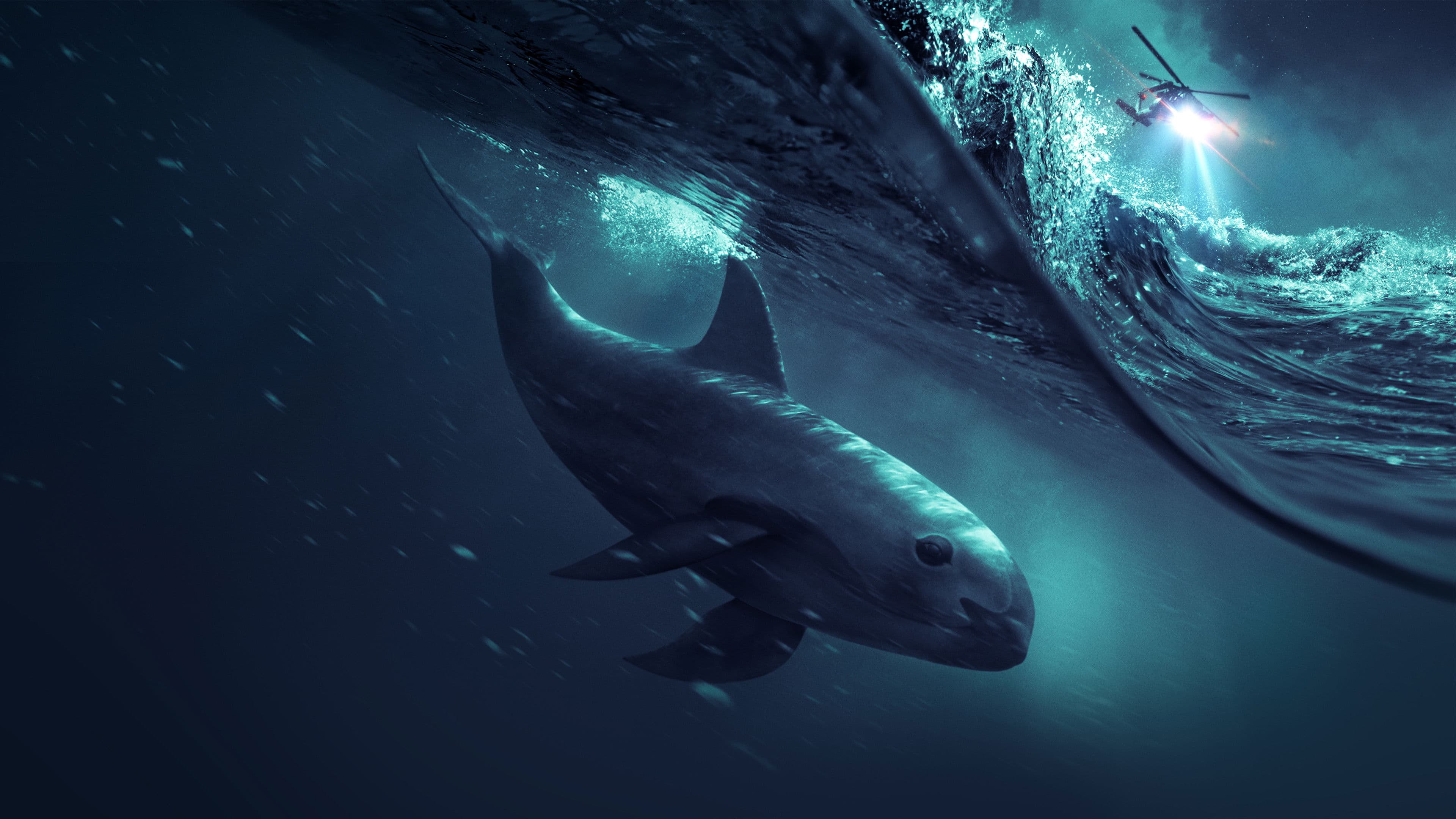 Sea of Shadows - immagine