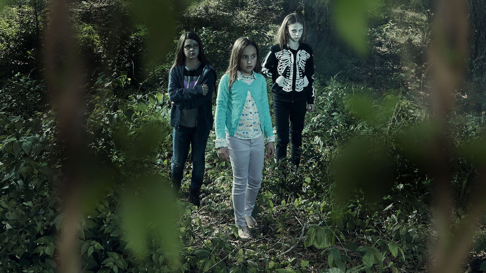 Terror in the Woods - immagine