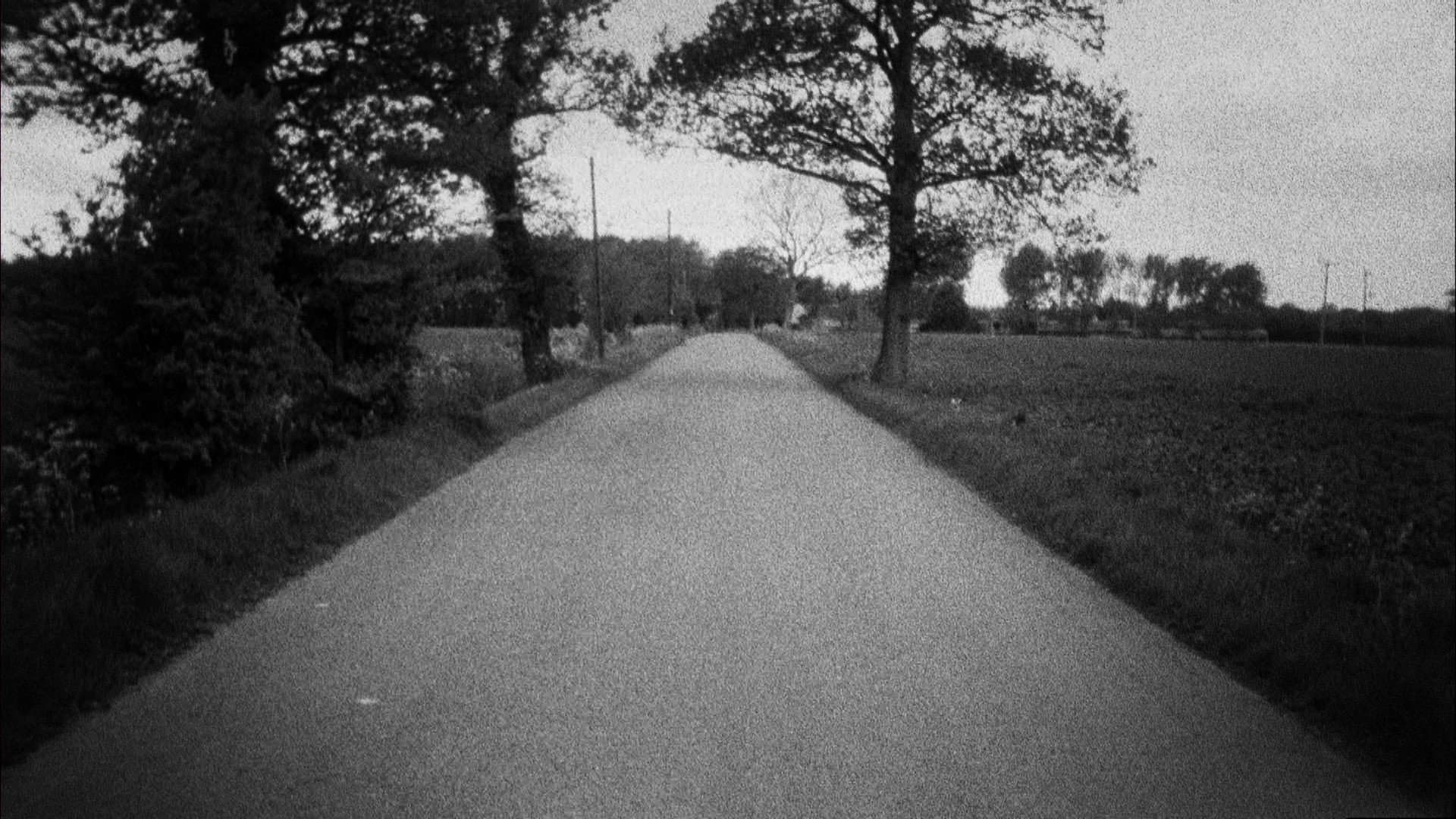 Patience (After Sebald) - immagine