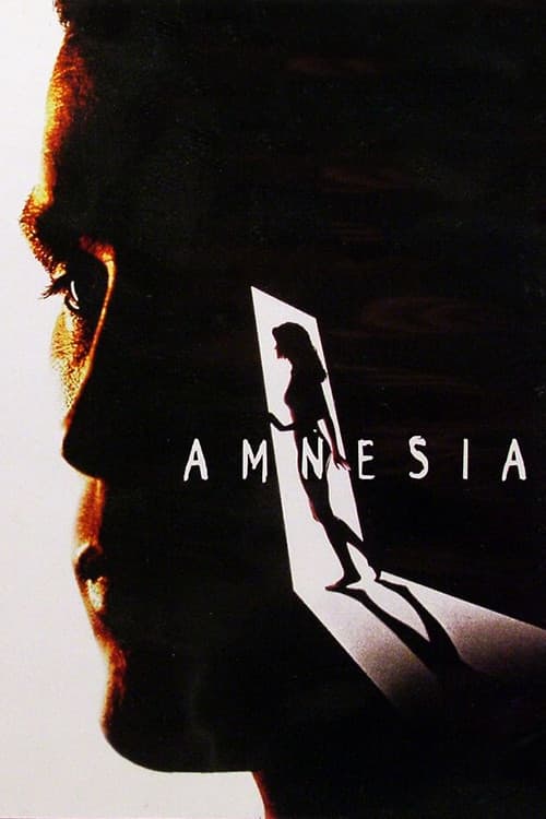 Poster di Amnesia