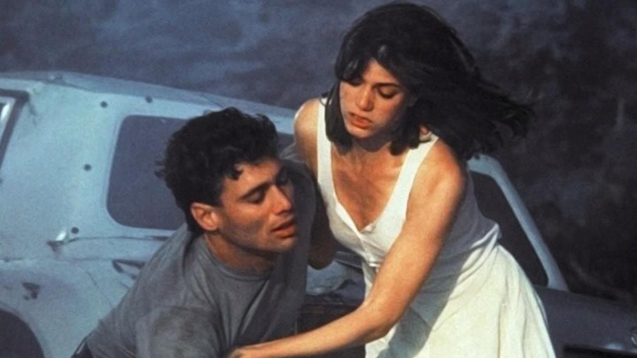Wildfire - All'improvviso un maledetto amore - immagine