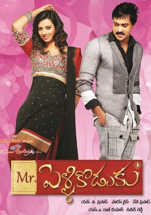 Poster di మిస్టర్ పెళ్ళికొడుకు