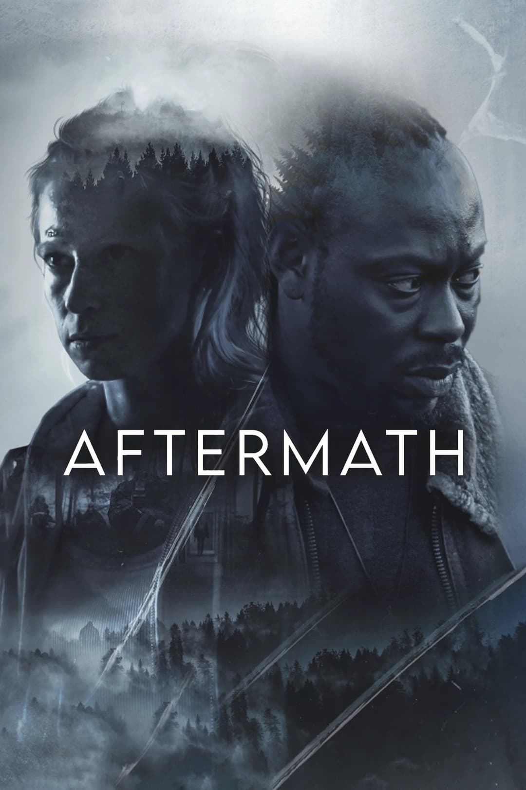 Poster di Aftermath