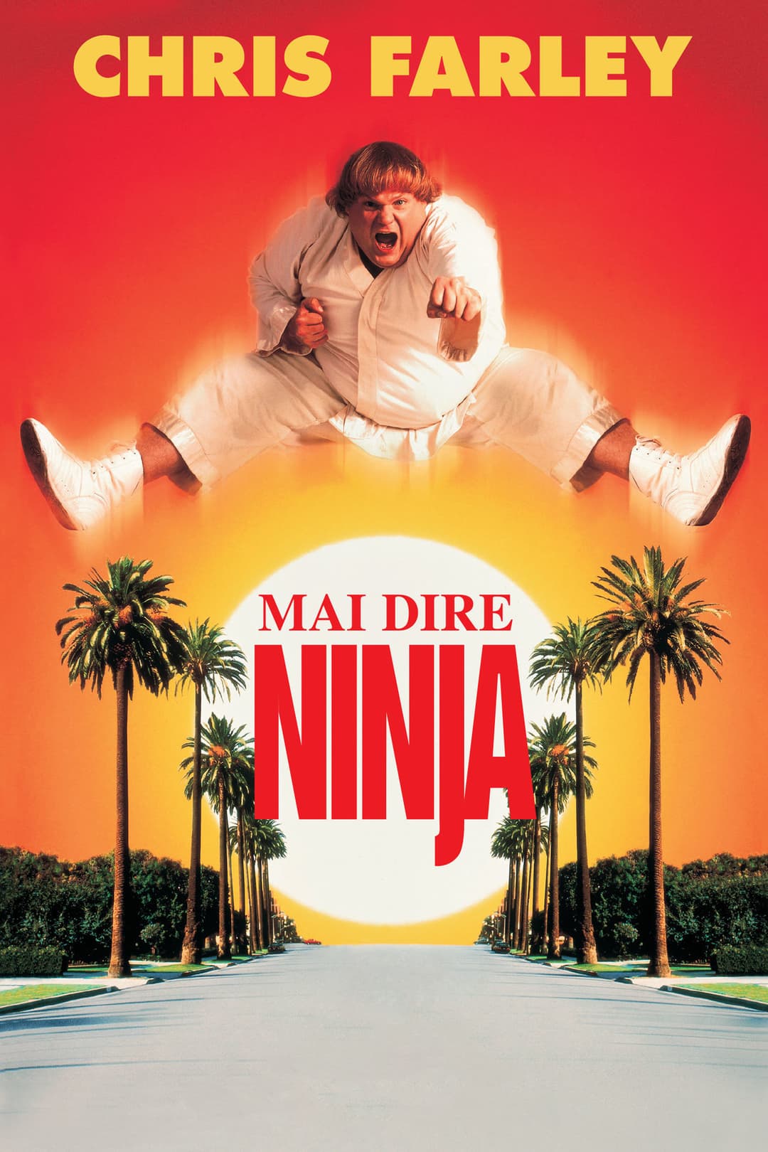 Poster di Mai dire ninja