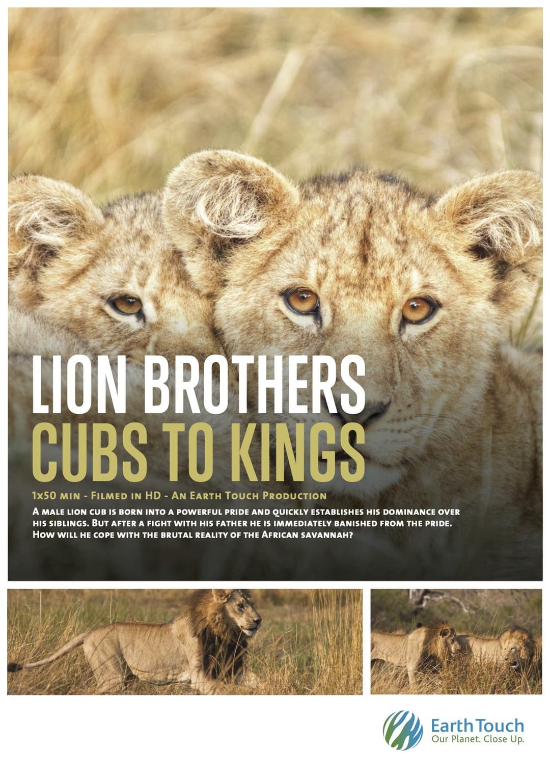 Poster di Lion Brothers: Cubs to Kings