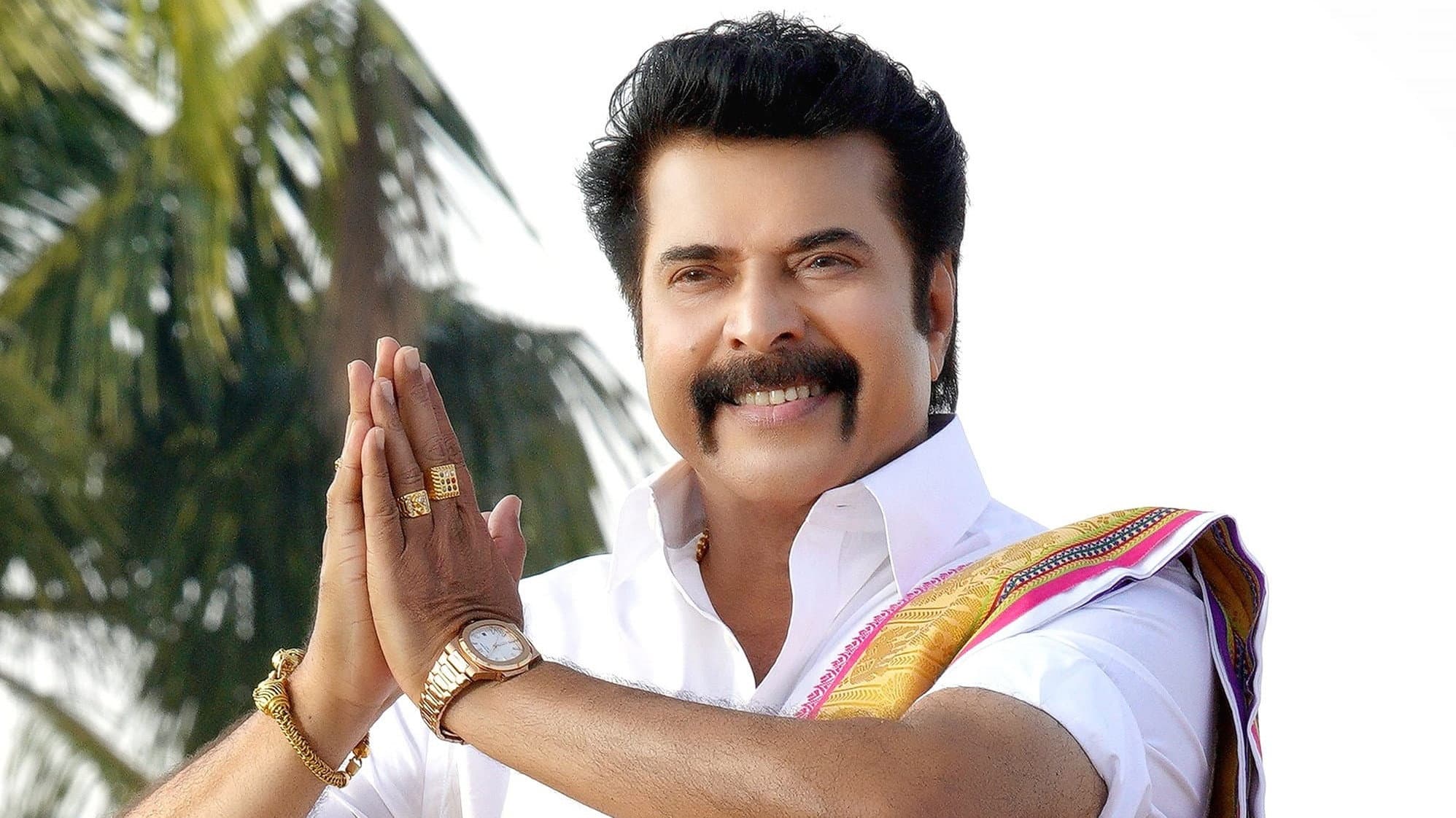 മധുരരാജാ - immagine