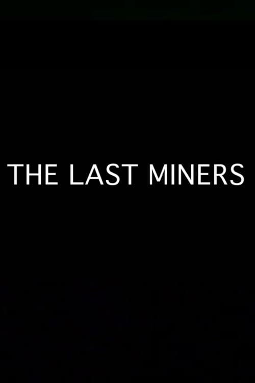 Poster di The Last Miners