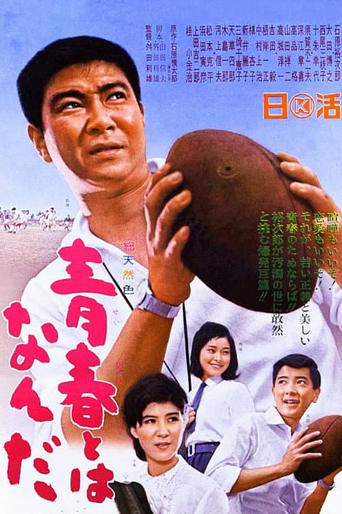 Poster di 青春とはなんだ