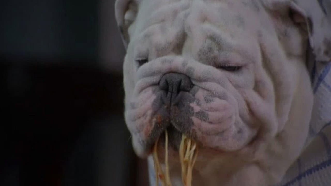 The Dogfather - immagine