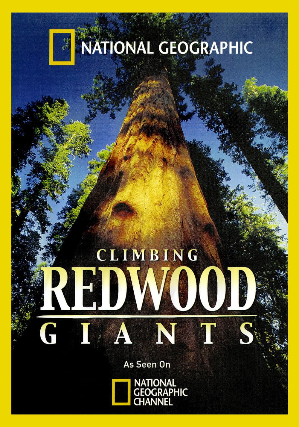 Poster di Climbing Redwood Giants