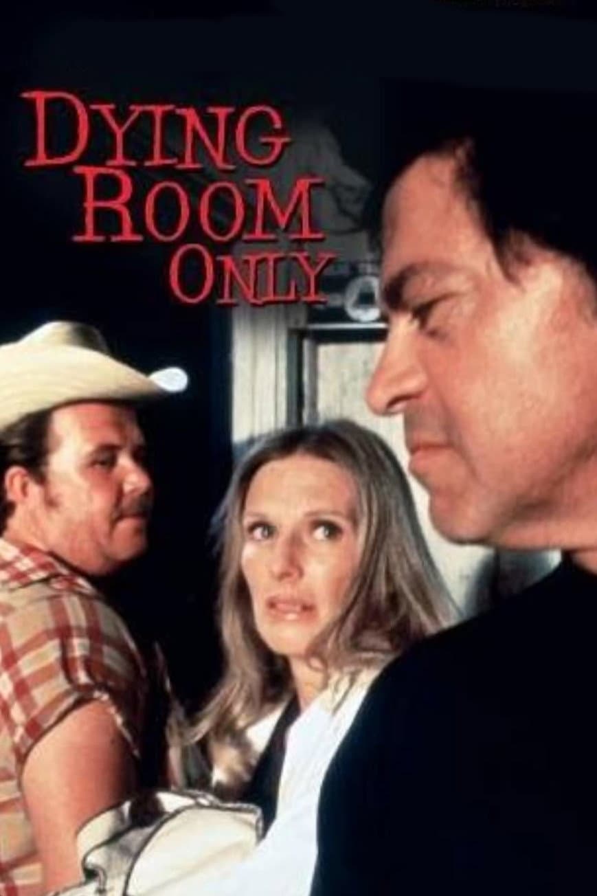 Poster di Dying Room Only
