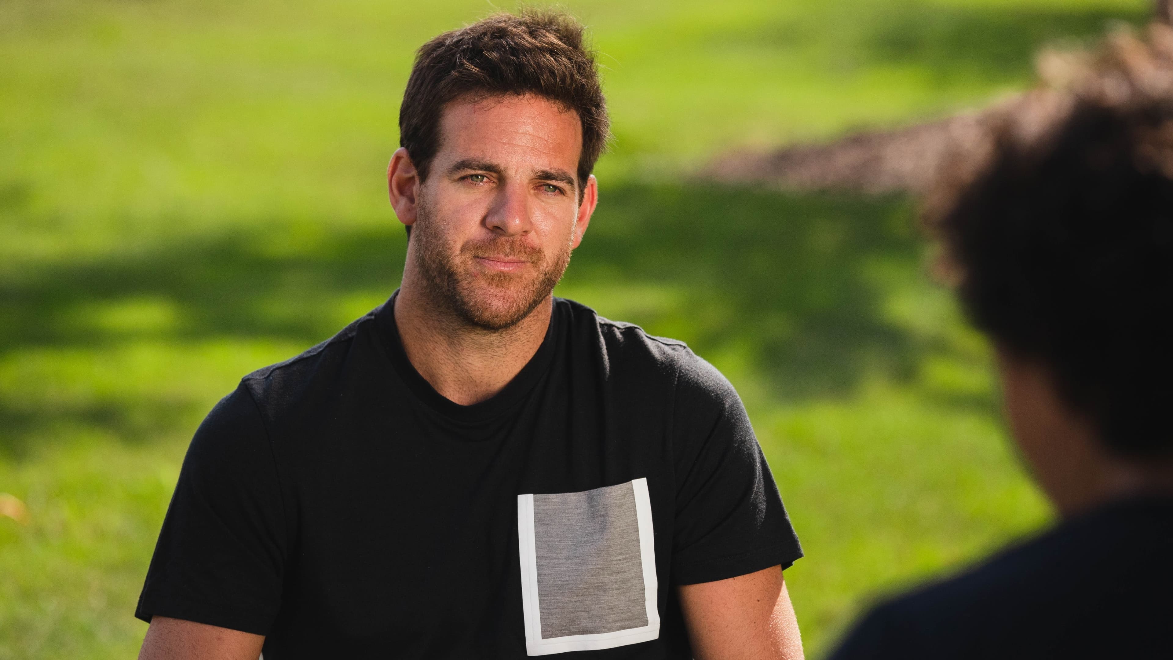 Del Potro, el último match point - immagine
