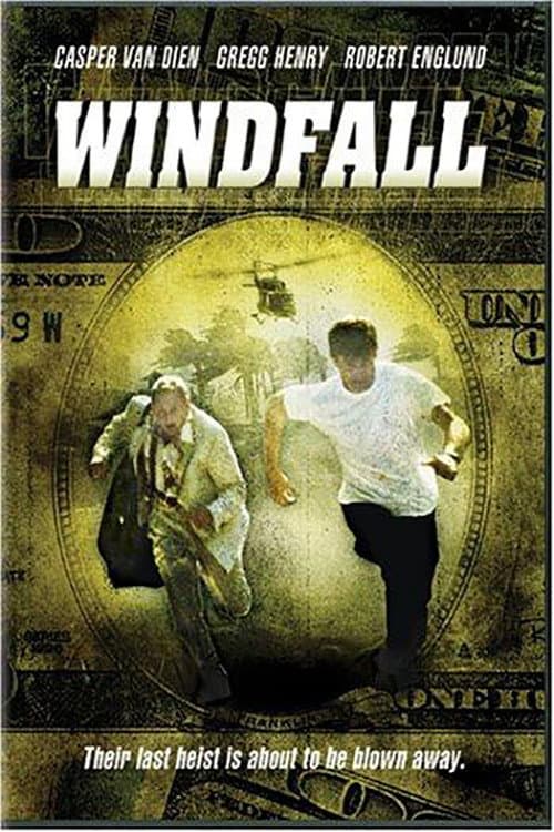 Poster di Windfall - Pioggia infernale