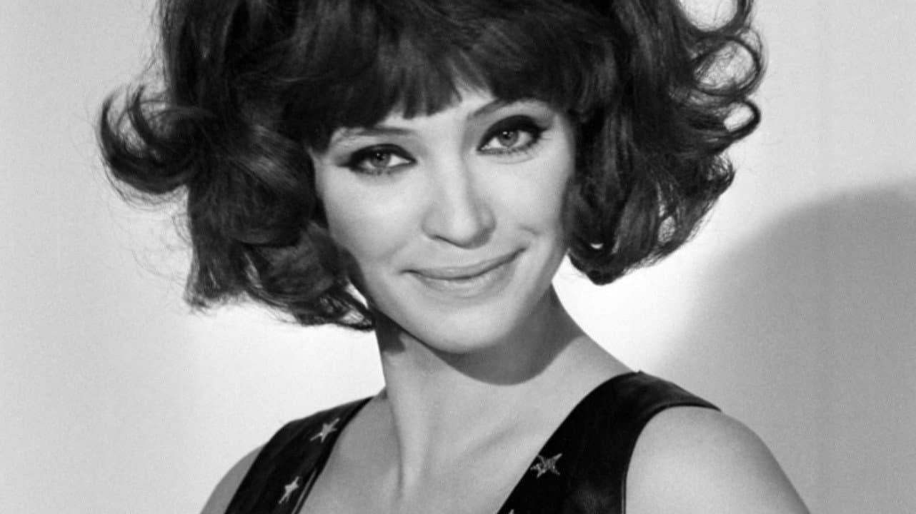 Anna Karina, souviens-toi - immagine