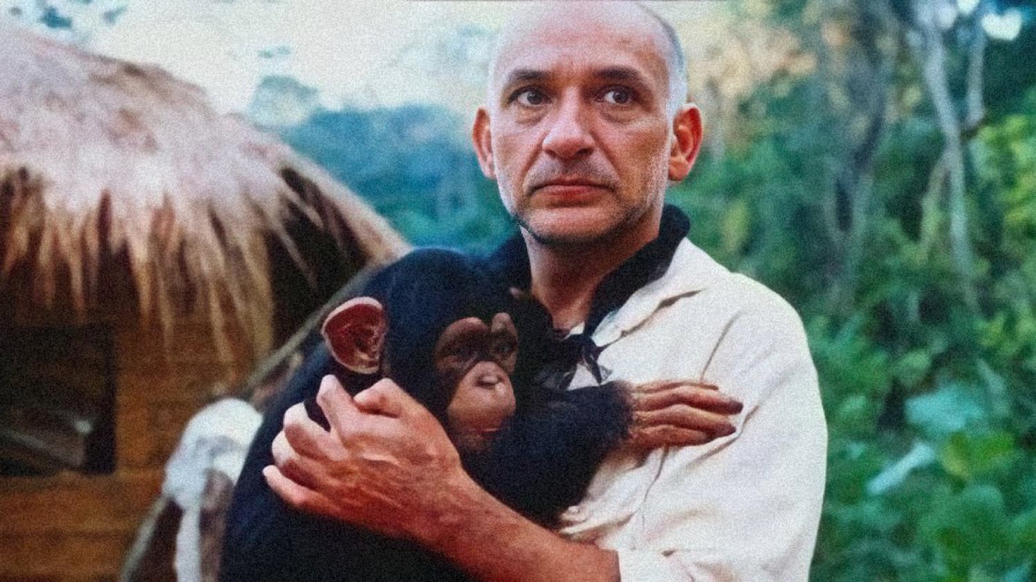 O Quinto Macaco - immagine