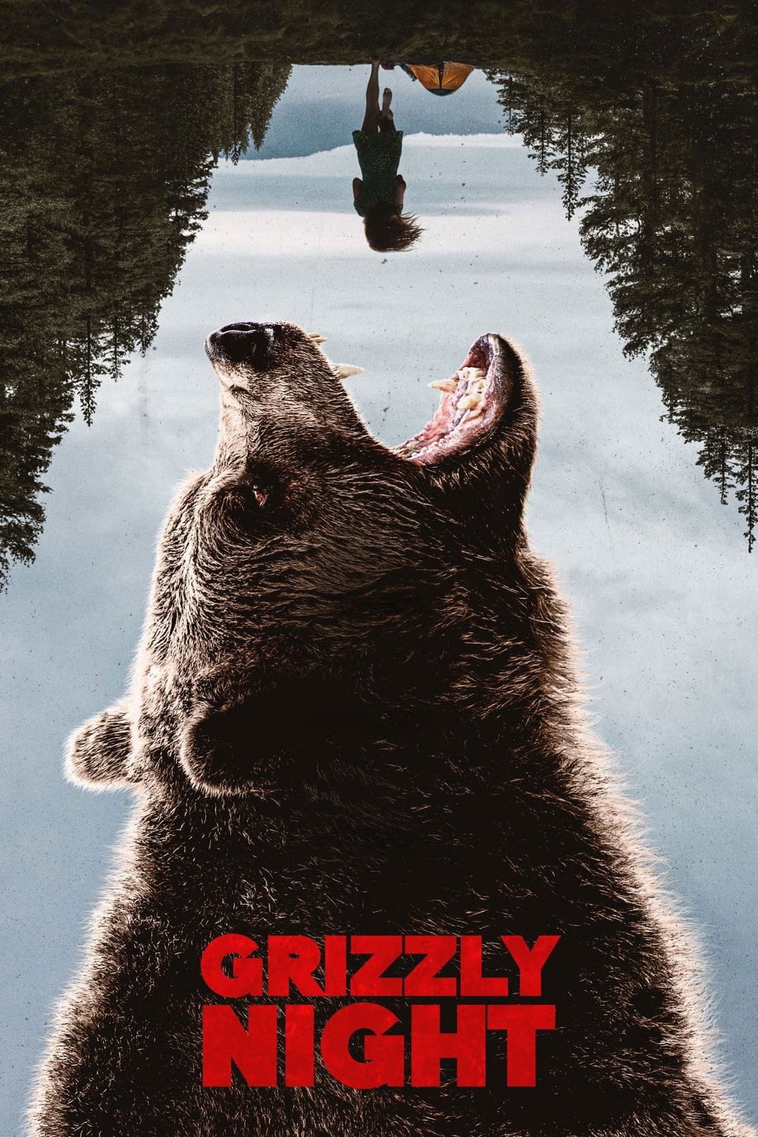Poster di Grizzly Night