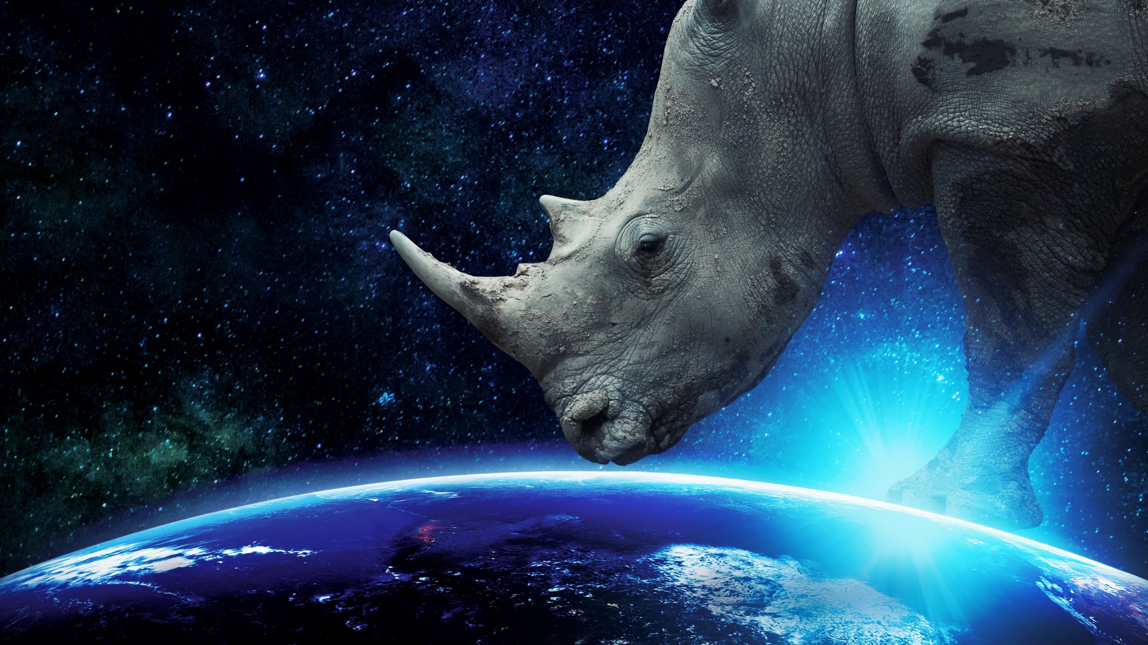 Why on Earth - immagine