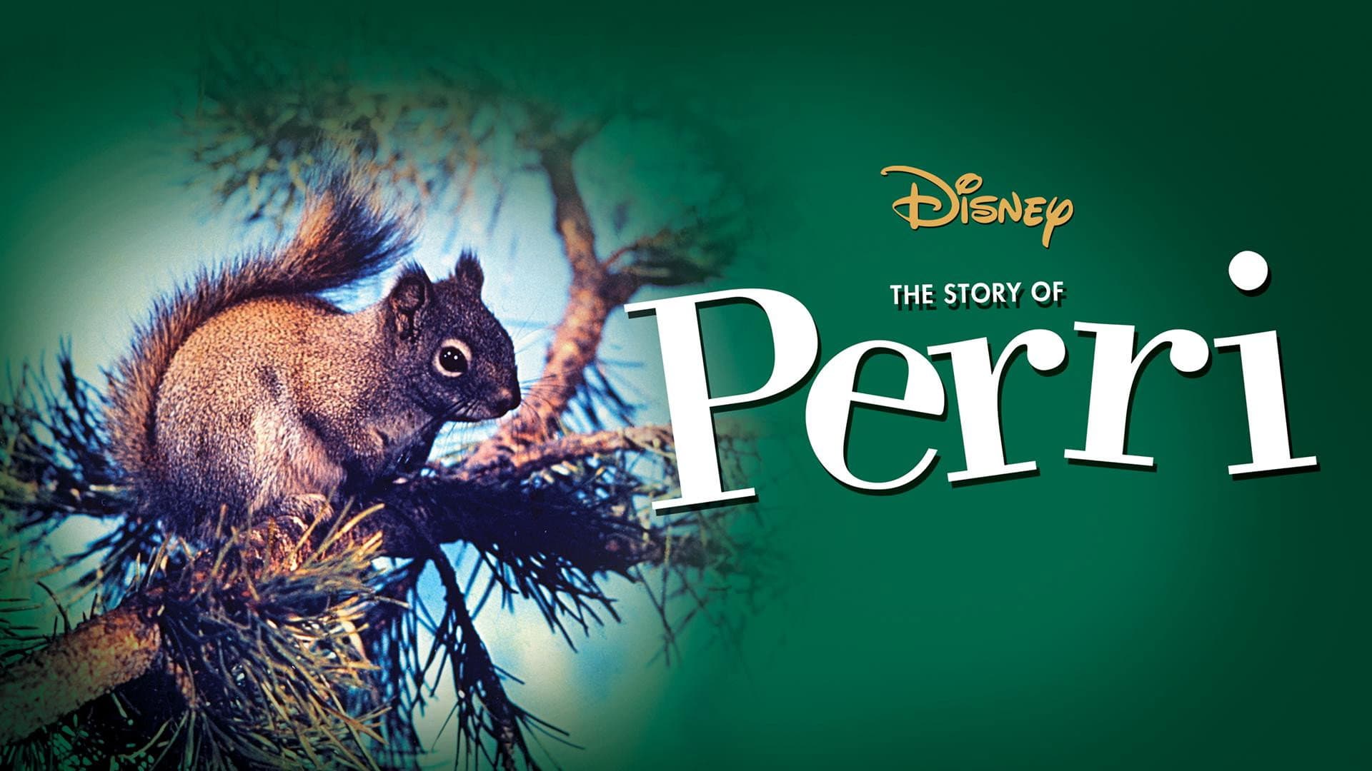 Perri - immagine