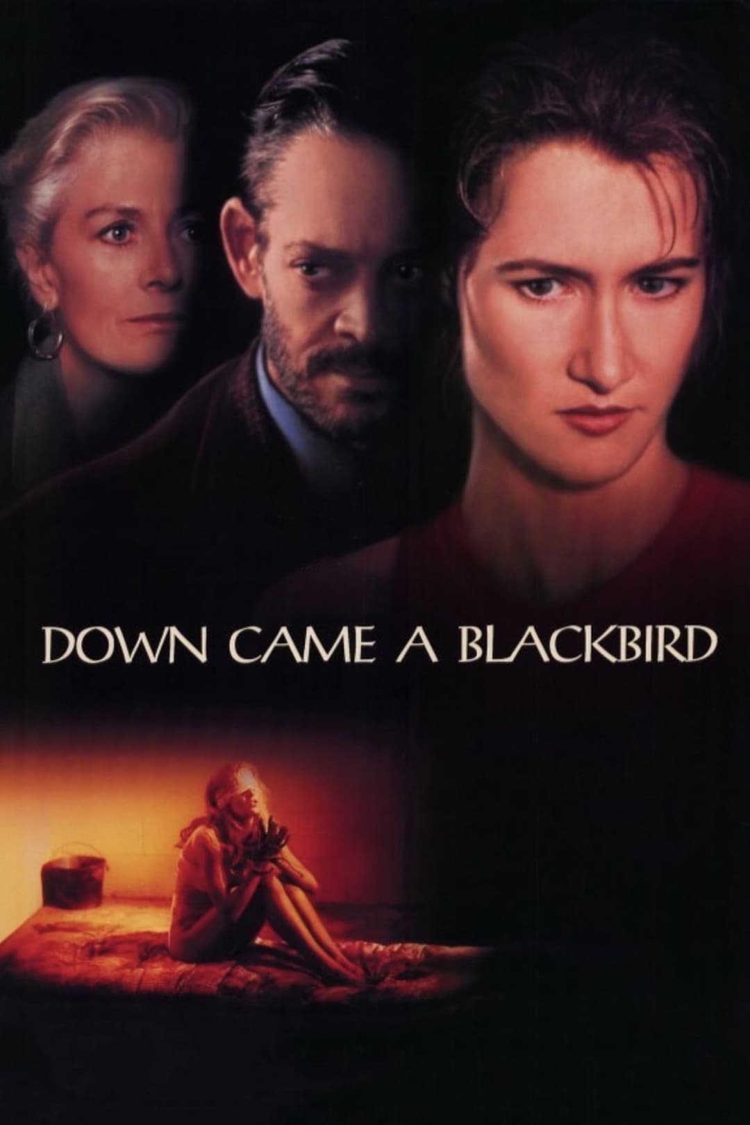 Poster di Down Came a Blackbird