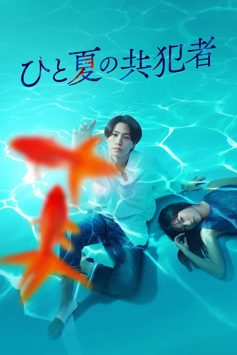 Poster di ひと夏の共犯者