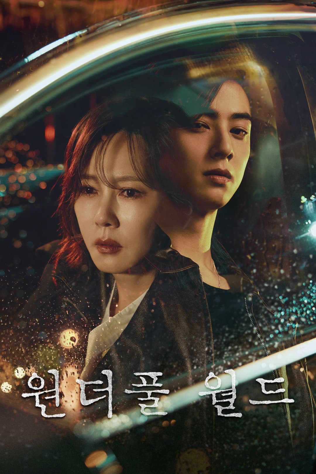 Poster di 원더풀 월드