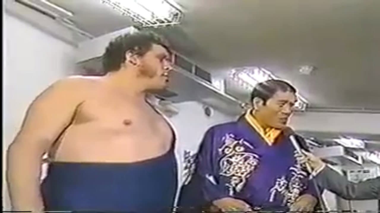 WWF/AJPW/NJPW Wrestling Summit - immagine
