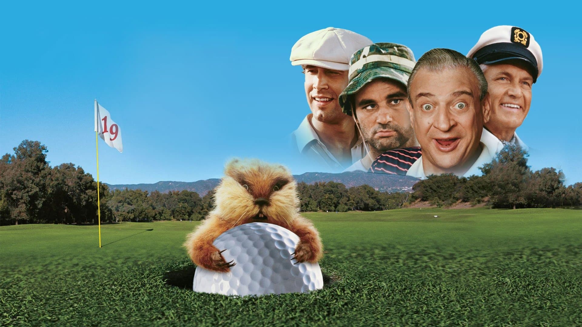 Palla da golf - immagine