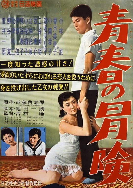 Poster di 青春の冒険