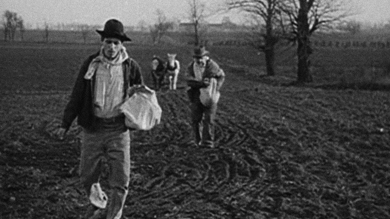 L'accaparramento del grano - immagine