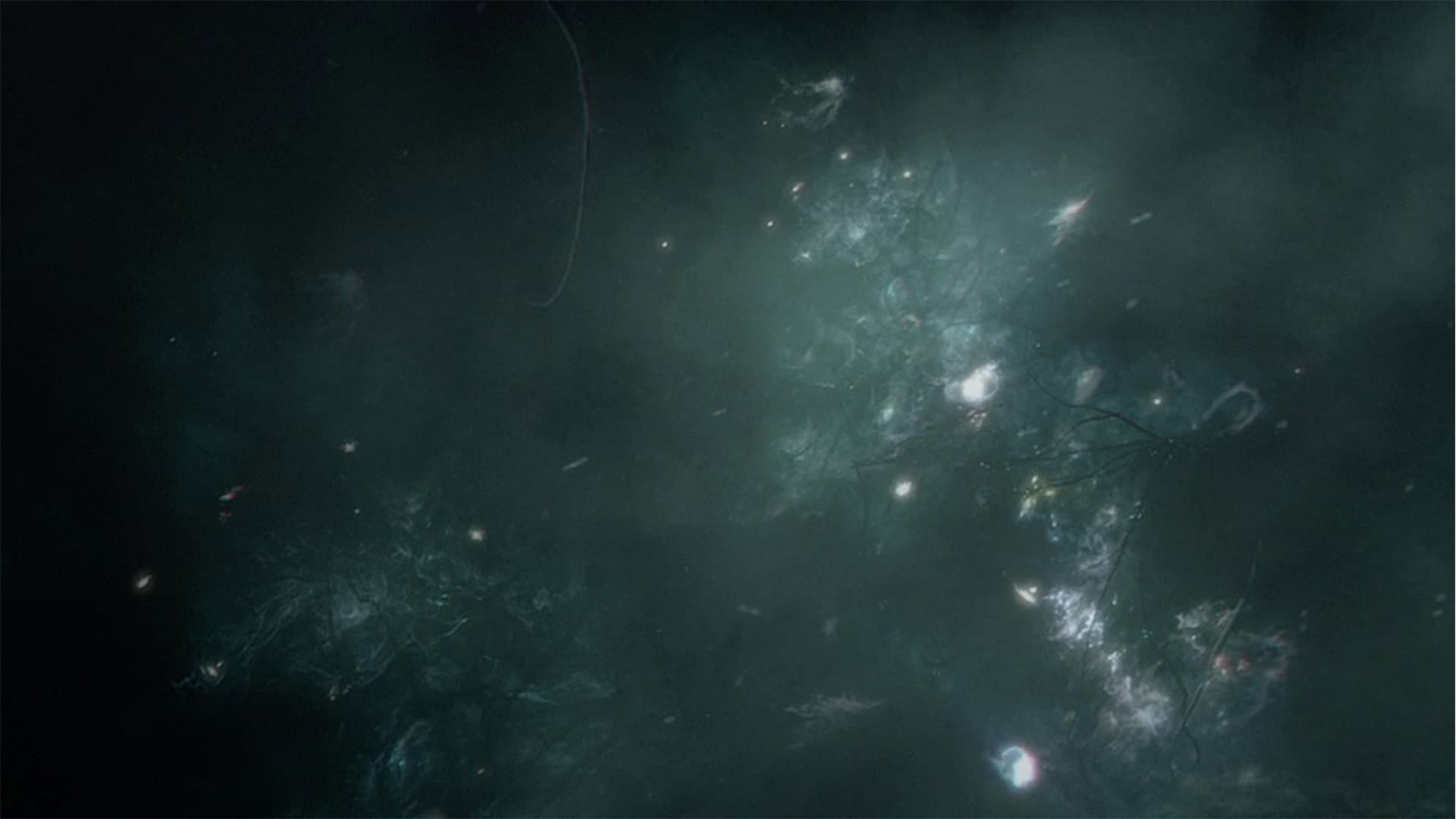 The Hive - immagine