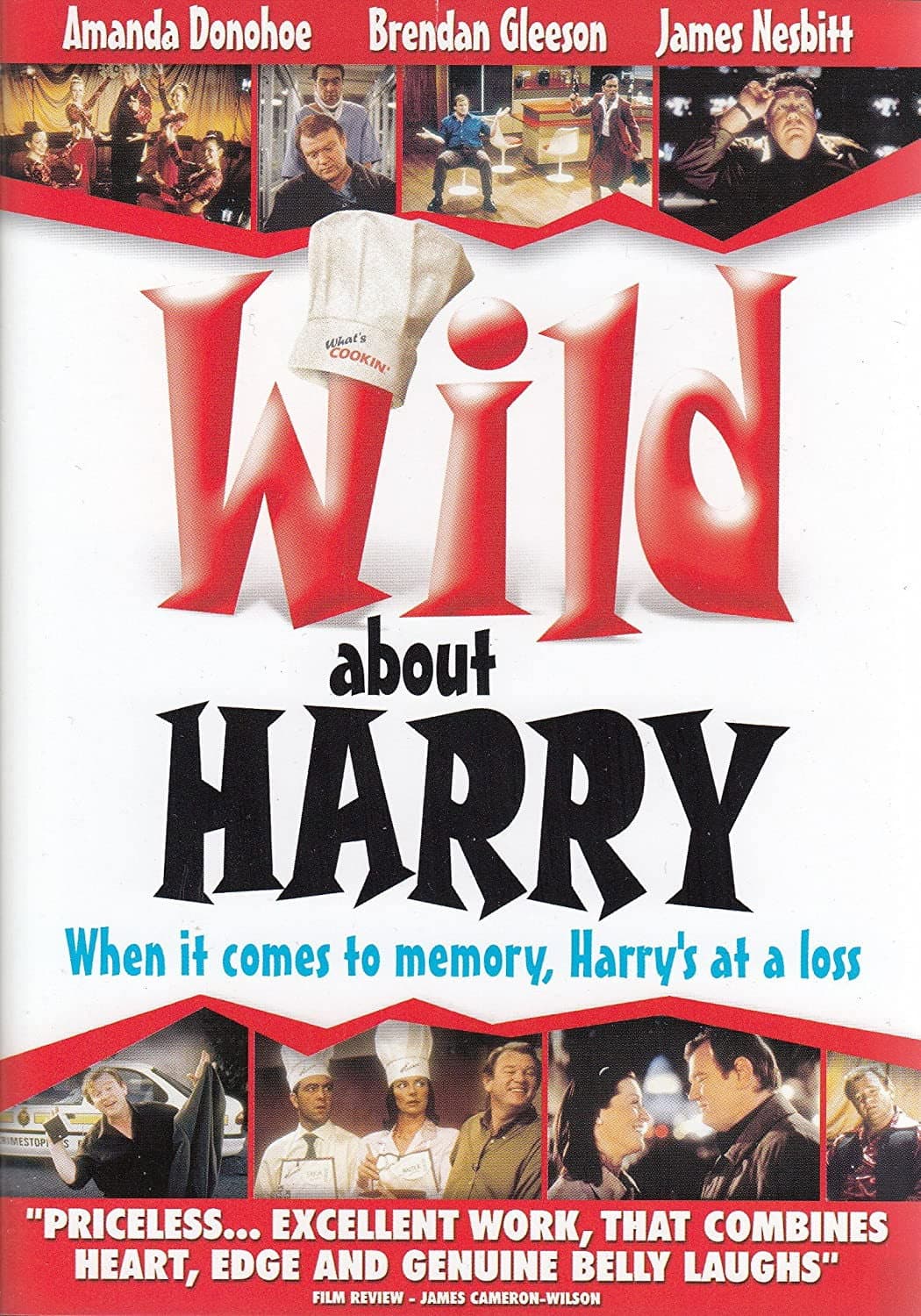 Poster di Wild About Harry