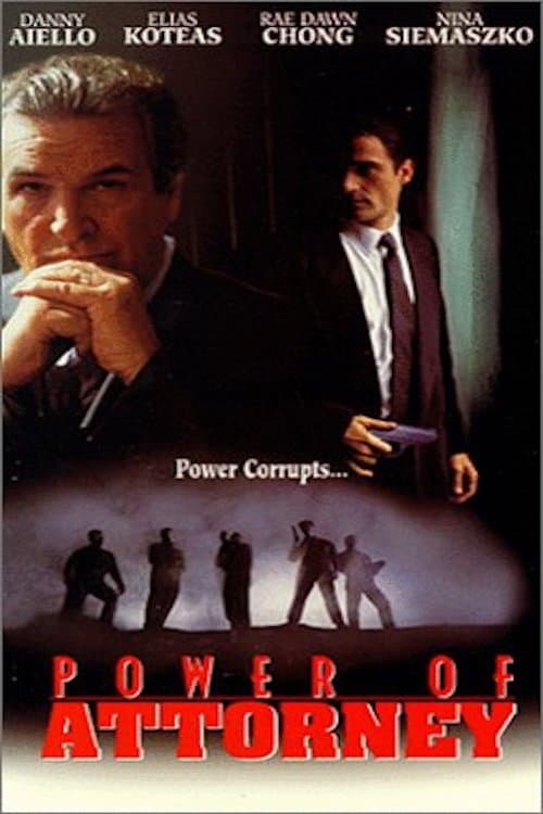 Poster di Il potere della legge