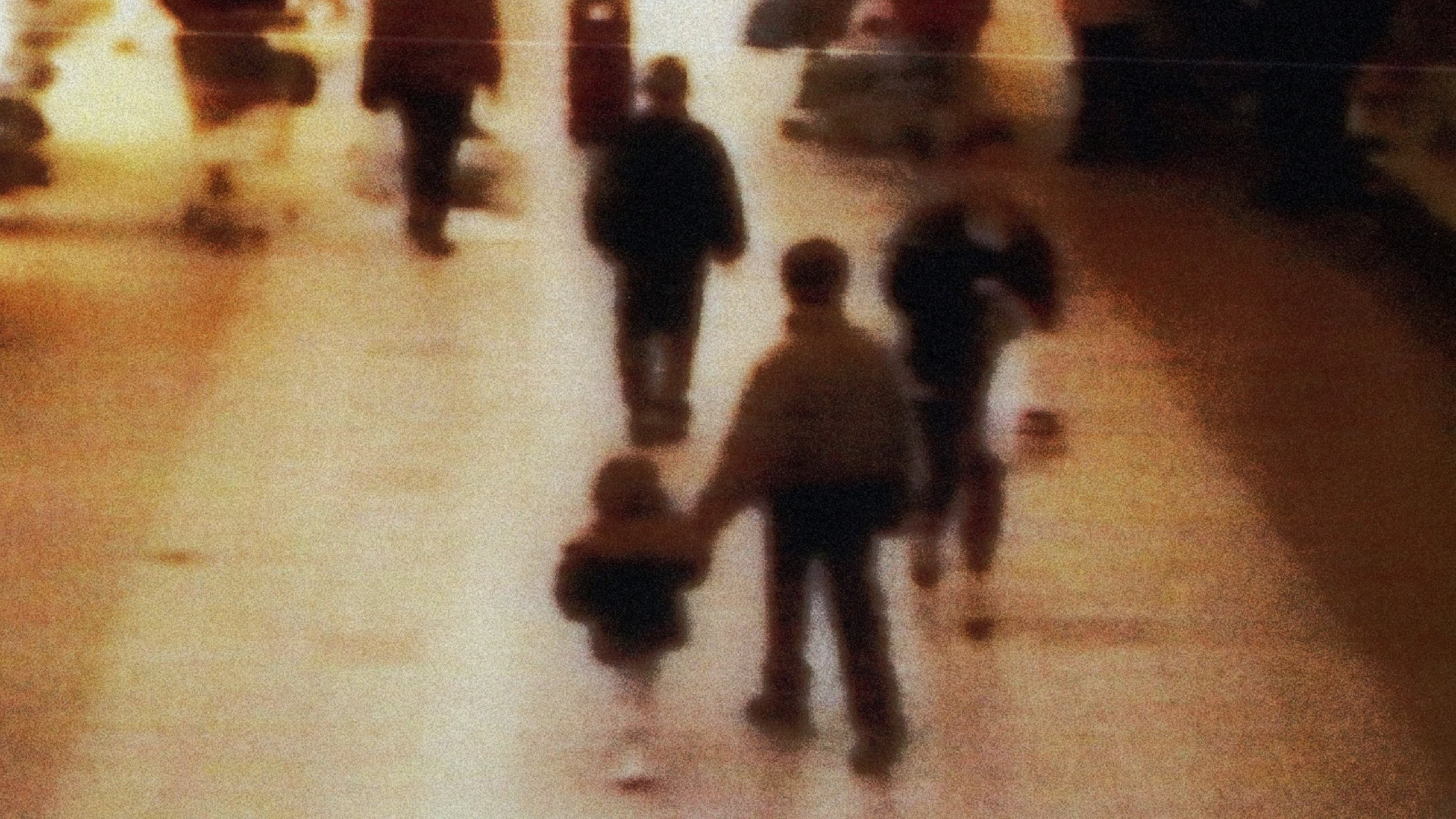James Bulger: The New Revelations - immagine
