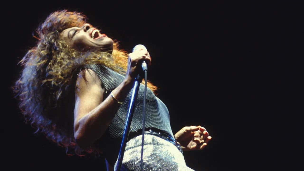Tina Turner : Celebrate! - immagine