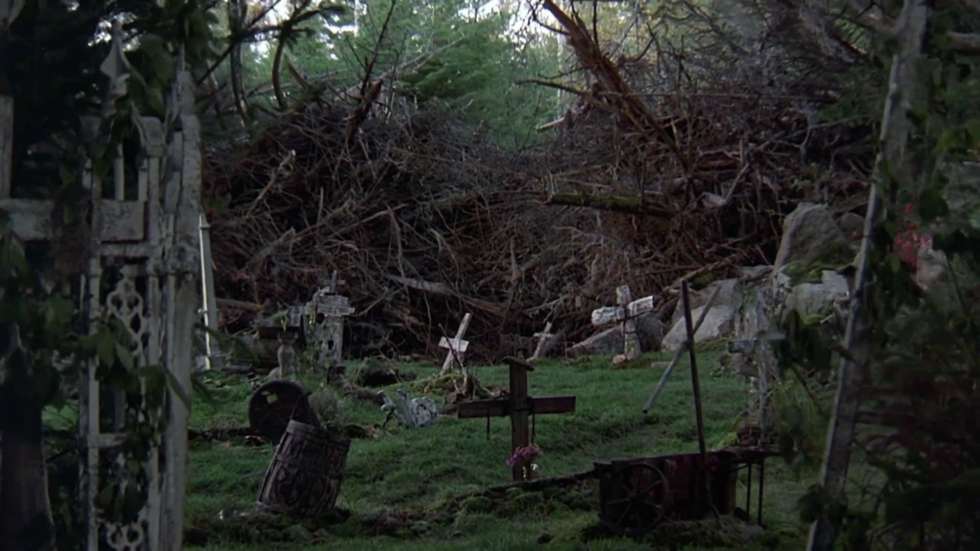 Cimitero vivente - immagine