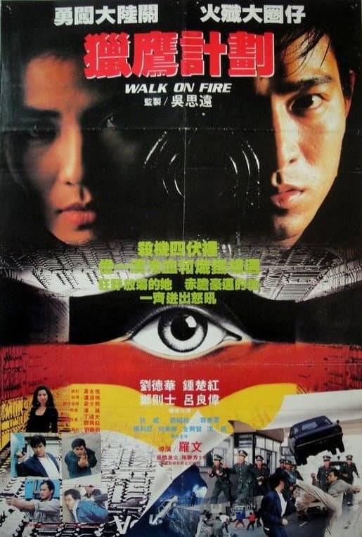 Poster di 獵鷹計劃