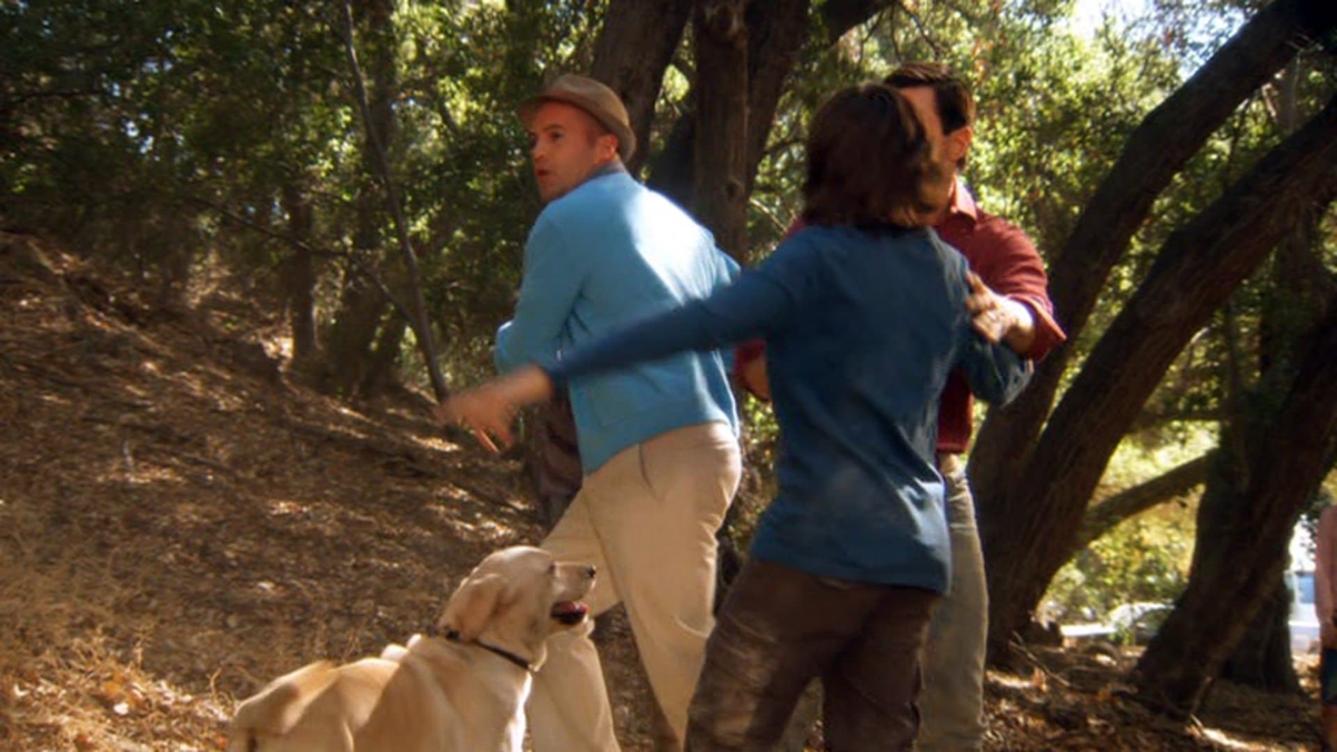 The Gold Retrievers - immagine