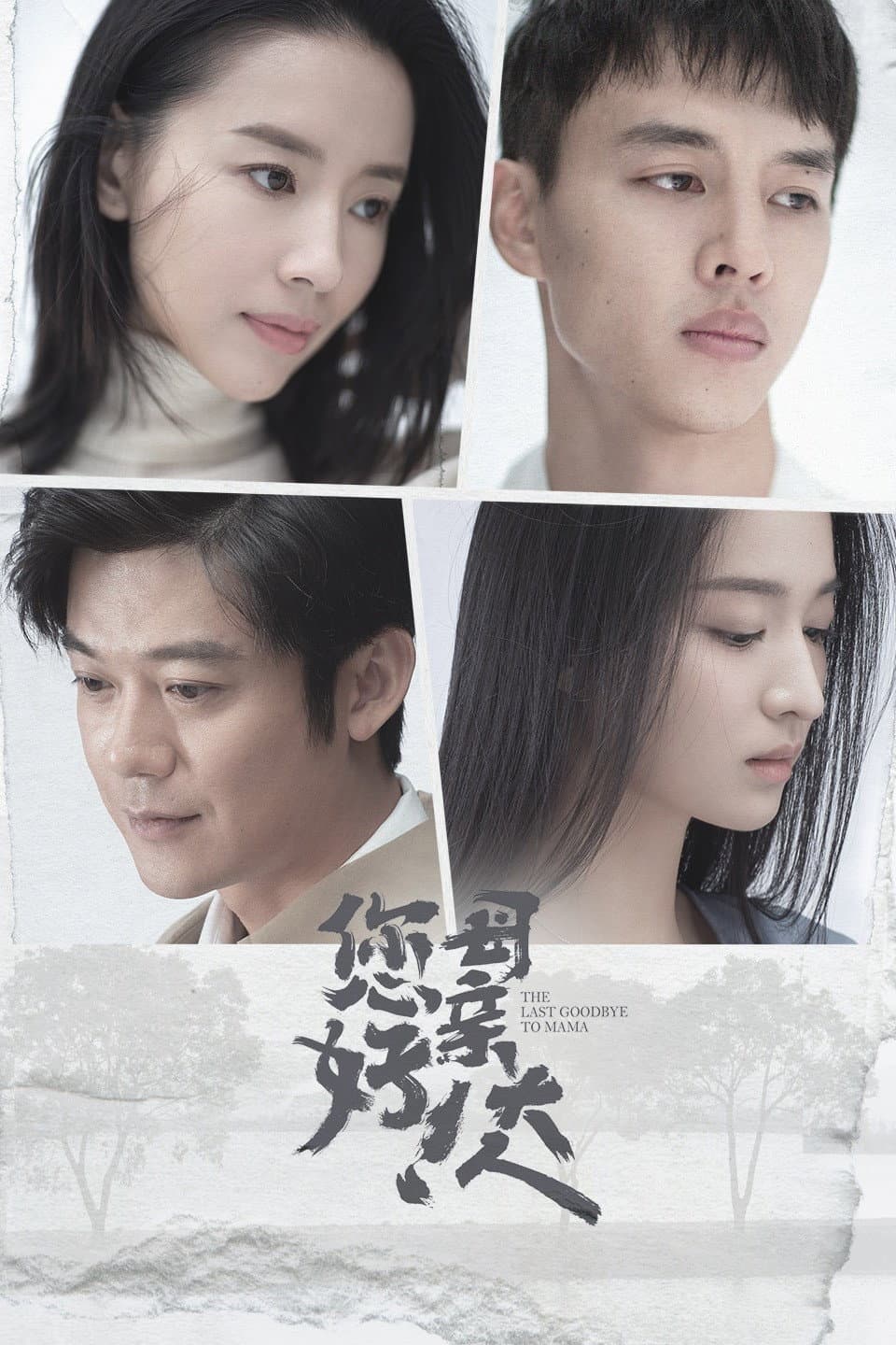 Poster di 您好！母亲大人